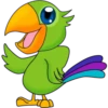 Periquitos (aves) 19