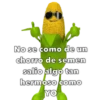 Mazorcas groseras 19