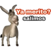 Ya merito? (Burro de Shrek) 22