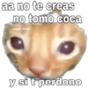 аa пo te creas no tomo coca y si t perdono