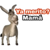 Ya merito? (Burro de Shrek) 23