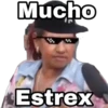 Estrex 10