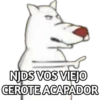 PERRO BLANKO 19