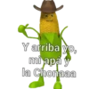 Mazorcas groseras 22