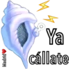 Caracola Mágica 25