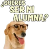 OUERES
SER MI
ALUMNA?