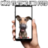 MİRA TE TOME UNA FOTO
Javi 0000
LG