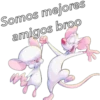 Somos mejores
amigos broo