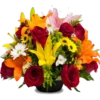 Rosas 23
