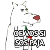 PERRO BLANKO 22