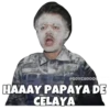 @SOYCHOOQ
HAAAY PAPAYA DE
CELAYA