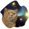 Космические Коты 22