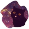 Космические Коты 23