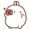 Molang 1 29