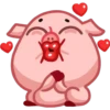 Pig 22
