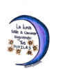 Moon Follows You