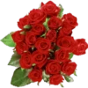 Rosas 24