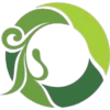 Letras de plantas 26