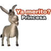 Ya merito? (Burro de Shrek) 25