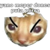 yano meper dones puta perra