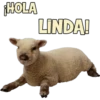 HOLA
LINDA!