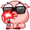 Pig 24