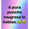 NuevoToxic 27
