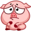 Pig 25