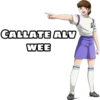 CALLATE ALV
WEE
tule
14