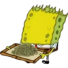 Spongebob Waiter 17