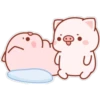 The life of a little pig 29