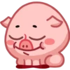 Pig 26
