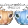 mejores amigos x siempre