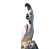 Periquitos (aves) 25