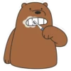Grizz 12