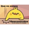 Que no somos
Desconocidos
Ya te conocí tu cuerpo