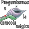 Caracola Mágica 29