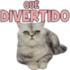 QUE
DIVERTIDO