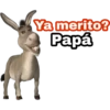 Ya merito? (Burro de Shrek) 29