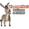 Ya merito? (Burro de Shrek) 30