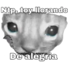 Ntp, toy lorando
De alegria
