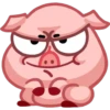 Pig 27