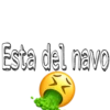 Rosa de Guadalupe 5