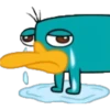 Perry 5