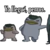 Ya llegué, perros.