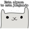 Esta alpaca
te esta juzgando