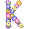 Abecedario de flores 9