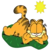 Garfield 1 5