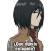 EQue dijiste
estupida?