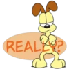 Garfield 1 6